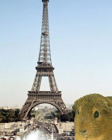 Rusty at the Eiffel Tower