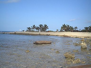 The beach at Rock Point