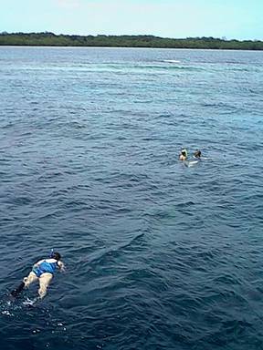 Snorkelers in the water