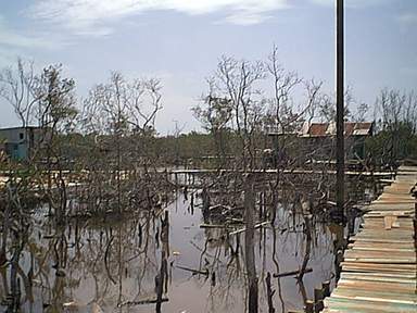 Campo Nado