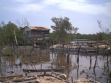 Campo Nado