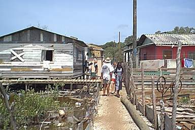 Campo Nado