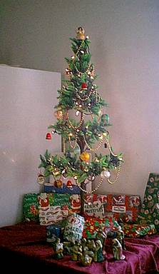 A respectable Christmas tree