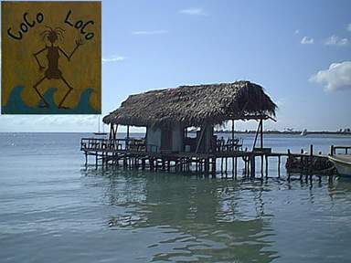 The Coco Loco