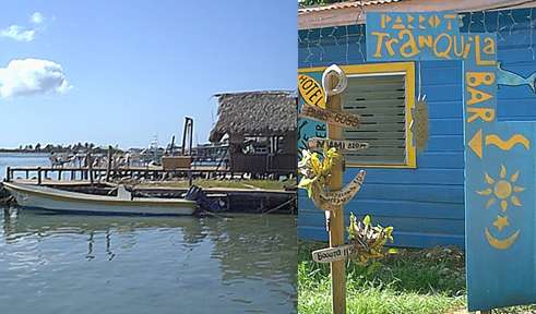 The Parrot Tranquila