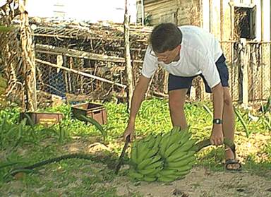 Cutting off the tail...