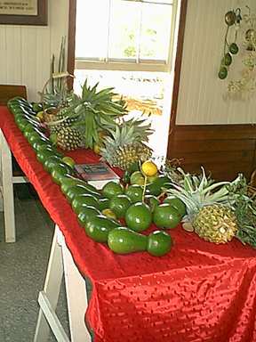 Harvest